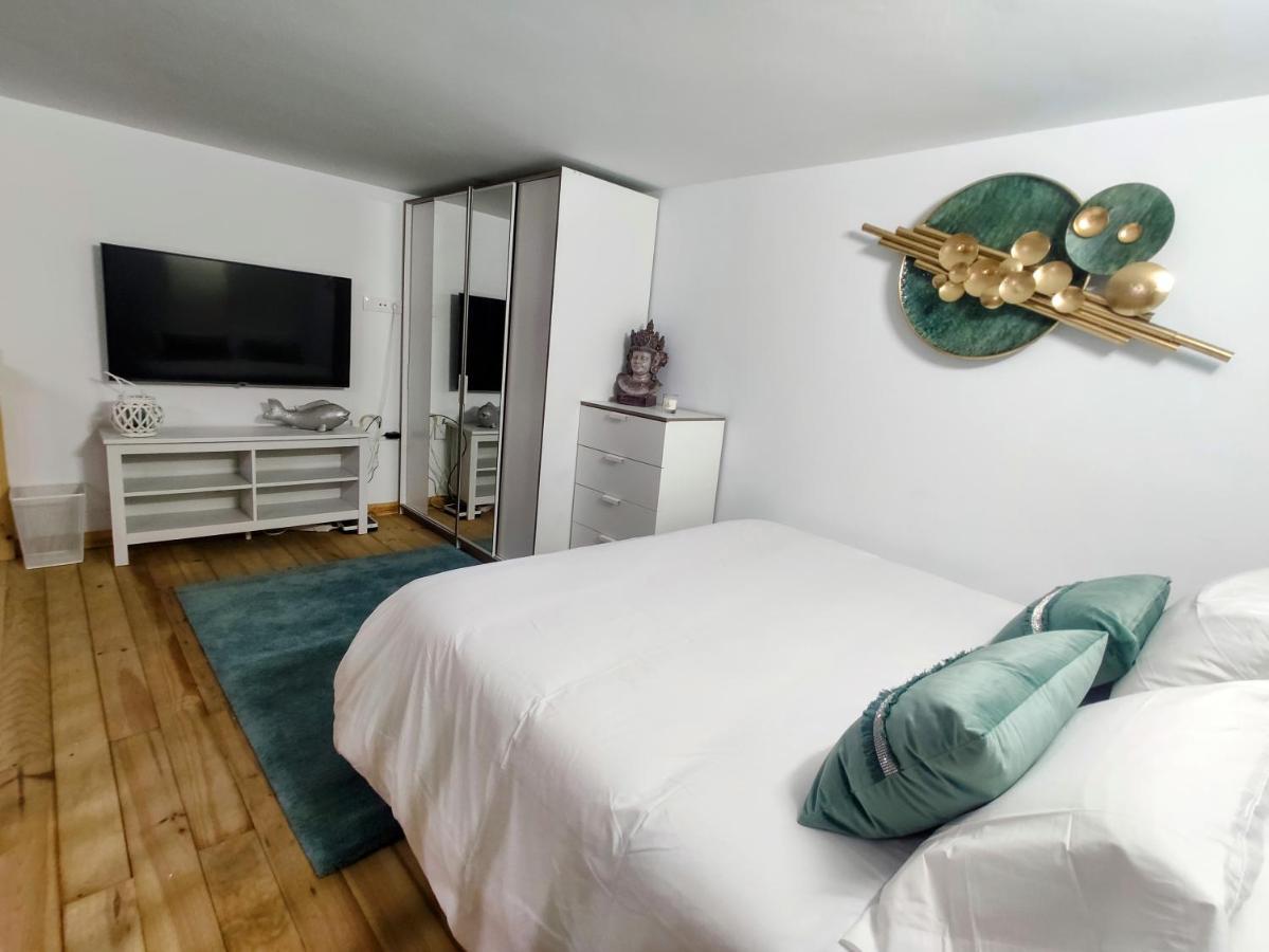 Elegante Y Moderna Villa Miami 阿德耶 外观 照片