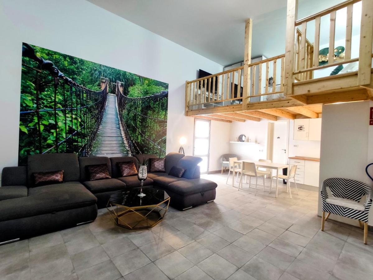 Elegante Y Moderna Villa Miami 阿德耶 外观 照片